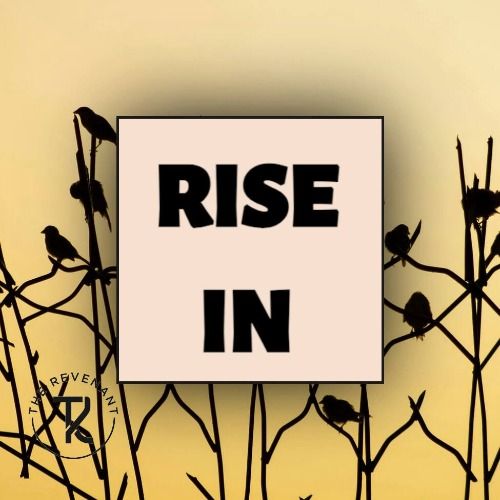 Buy EDM Ghost Production track - Rise In