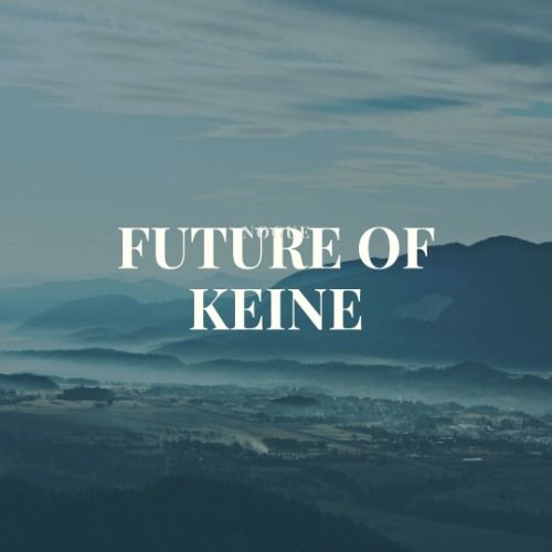 Buy EDM Ghost Production track - Future Of Keine