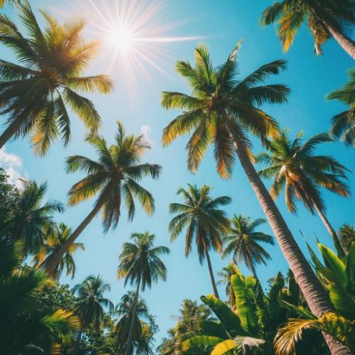 Buy EDM Ghost Production track - Sunrise in Your Eyes