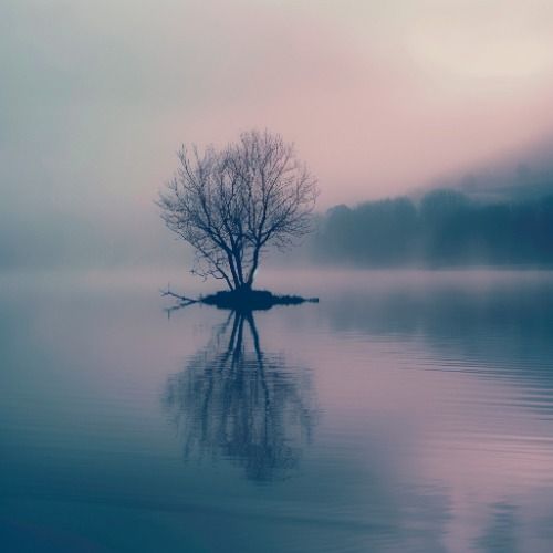 Buy EDM Ghost Production track - Dreamscapes XXXVIII
