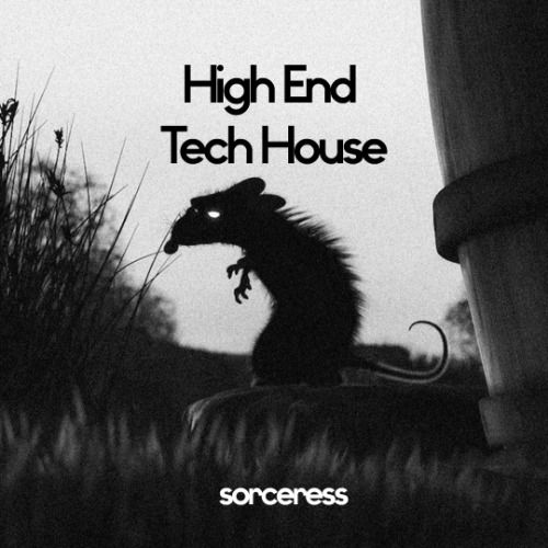 Buy EDM Ghost Production track - Ragga Tech