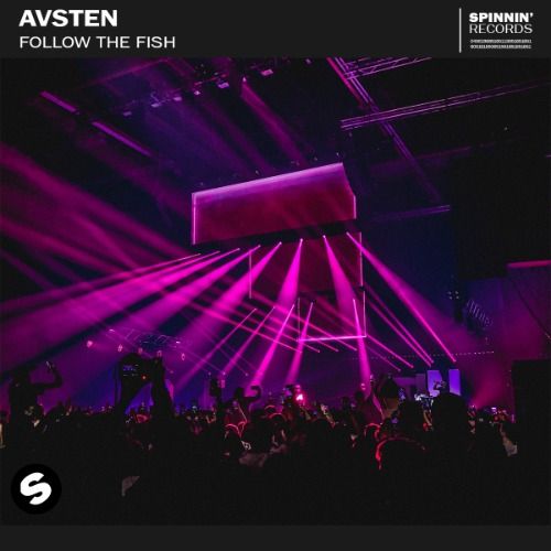 Buy EDM Ghost Production track - Follow The Fish