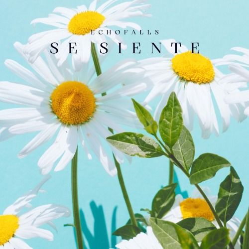 Buy EDM Ghost Production track - Se Siente