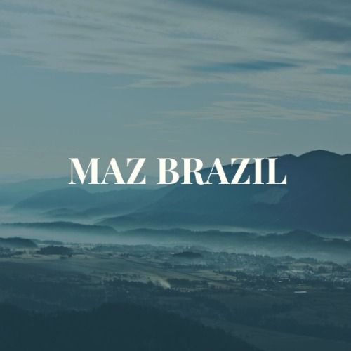 Buy EDM Ghost Production track - Maz Brazil