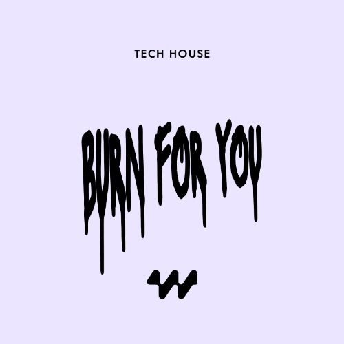 Buy EDM Ghost Production track - Burn For You