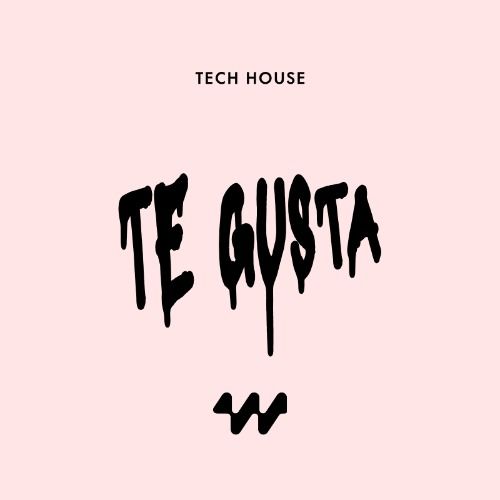 Buy EDM Ghost Production track - Te Gusta