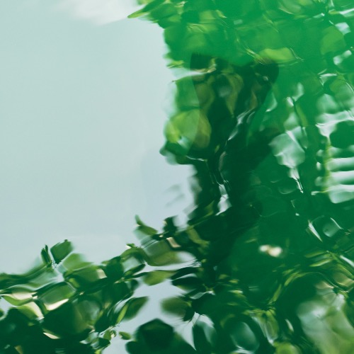 Buy EDM Ghost Production track - Life Changed