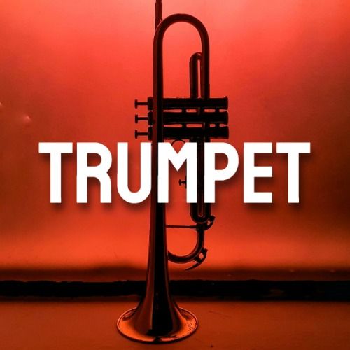 Buy EDM Ghost Production track - Trumpet