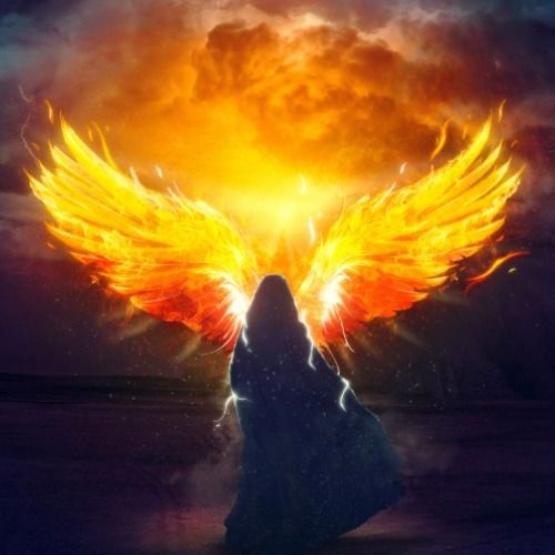 Buy EDM Ghost Production track - Stars Fall