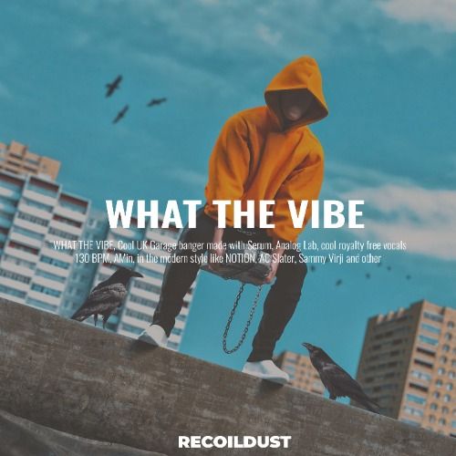 Buy EDM Ghost Production track - What The Vibe