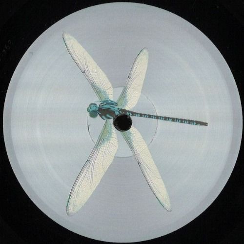 Buy EDM Ghost Production track - Abstract