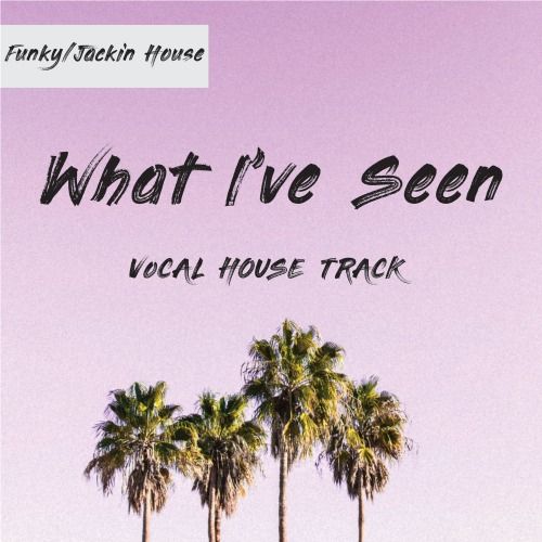 Buy EDM Ghost Production track - What i've seen