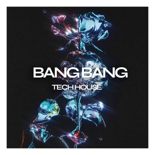 Buy EDM Ghost Production track - Bang Bang