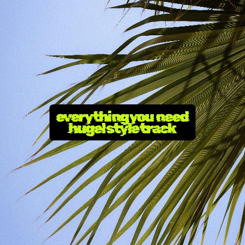 Buy EDM Ghost Production track - Everything I Need