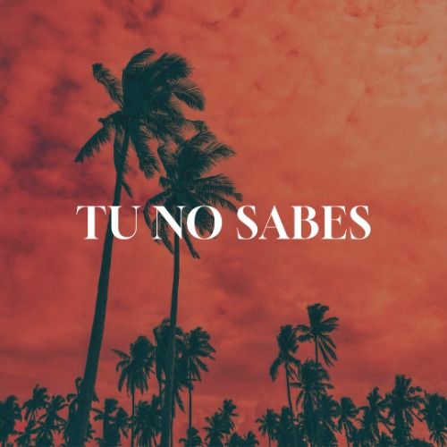 Buy EDM Ghost Production track - Tu No Sabes