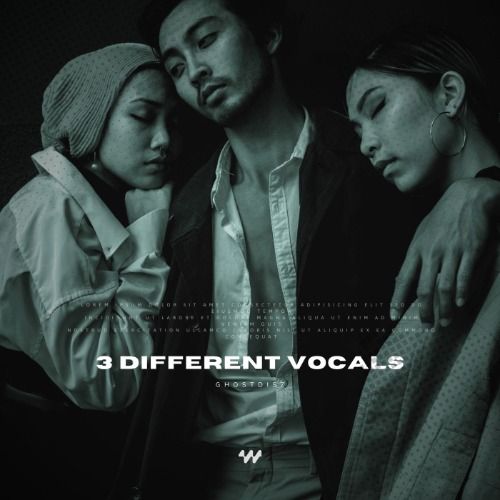 Buy EDM Ghost Production track - 3 Different Vocals