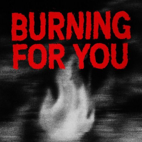Buy EDM Ghost Production track - Burning For You