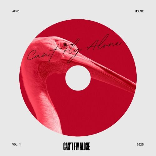 Buy EDM Ghost Production track - Can't Fly Alone