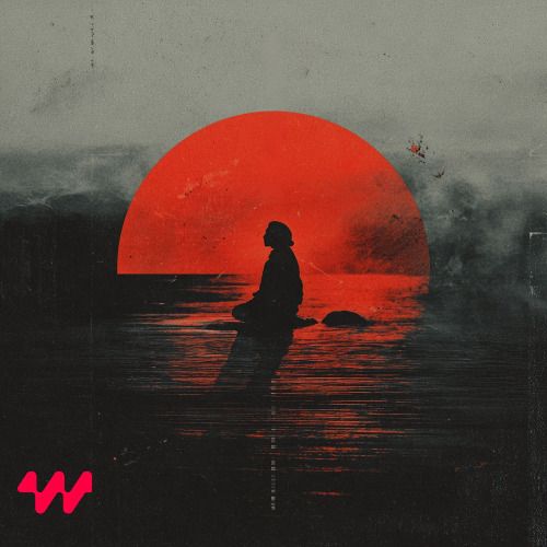 Buy EDM Ghost Production track - Survive of Melodic