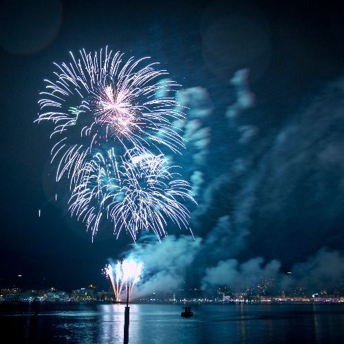 Buy EDM Ghost Production track - Heart Explode