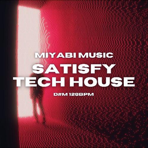 Buy EDM Ghost Production track - Satisfy