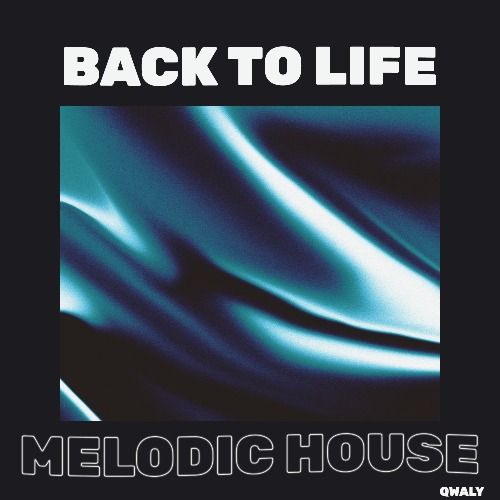 Buy EDM Ghost Production track - Back To Life