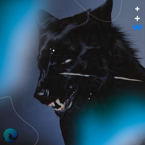 Buy EDM Ghost Production track - Don't Look Back