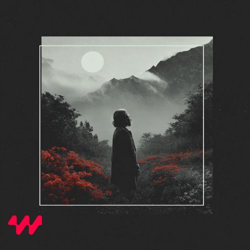 Buy EDM Ghost Production track - Drug of Melodic