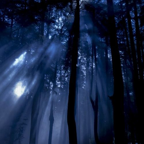 Buy EDM Ghost Production track - Dreamscape Ambient II