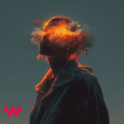 Buy EDM Ghost Production track - Mashamba