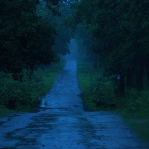 Buy EDM Ghost Production track - Dreamscape Ambient III