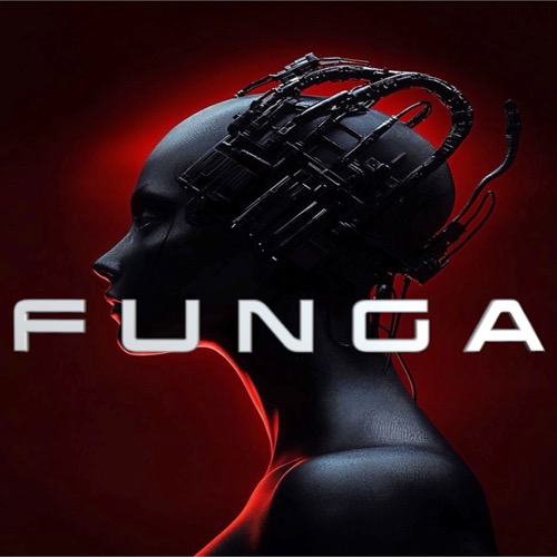 Buy EDM Ghost Production track - Funga