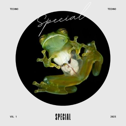 Buy EDM Ghost Production track - Special