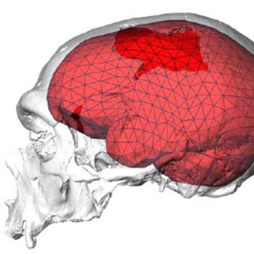 Buy EDM Ghost Production track - Sub Diagram
