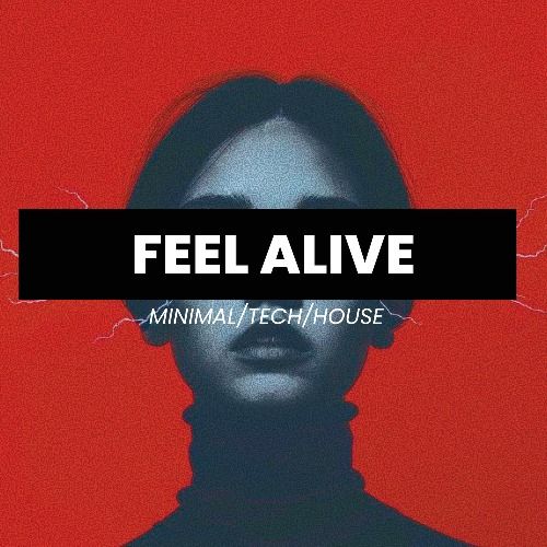 Buy EDM Ghost Production track - Feel Alive