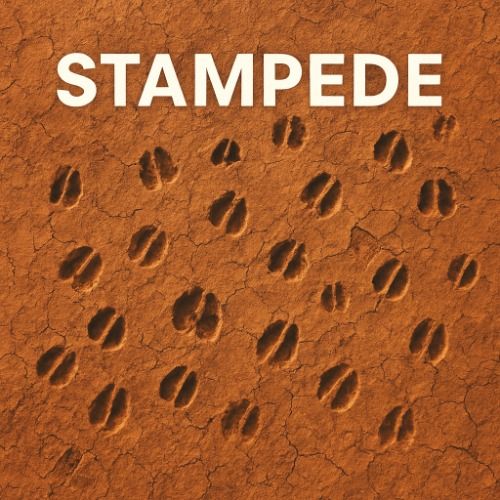 Buy EDM Ghost Production track - Stampede