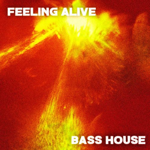 Buy EDM Ghost Production track - Feeling Alive