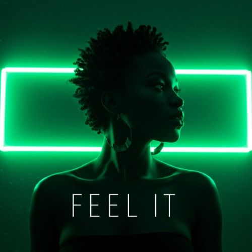 Buy EDM Ghost Production track - Feel It