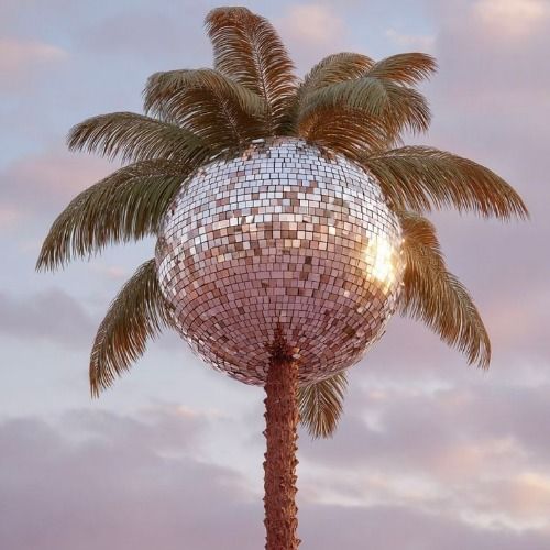 Buy EDM Ghost Production track - Magnifiko Dance