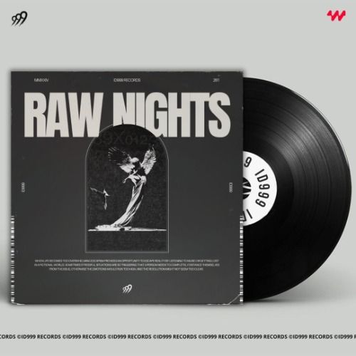 Buy EDM Ghost Production track - Raw Nights