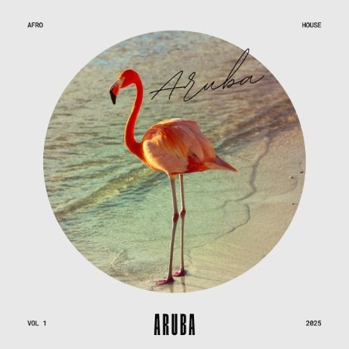 Buy EDM Ghost Production track - Aruba