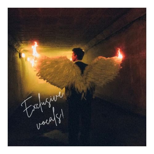 Buy EDM Ghost Production track - Better Off Alone