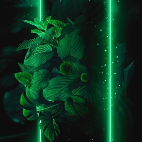 Buy EDM Ghost Production track - Feels id