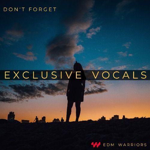 Buy EDM Ghost Production track - Don't Forget