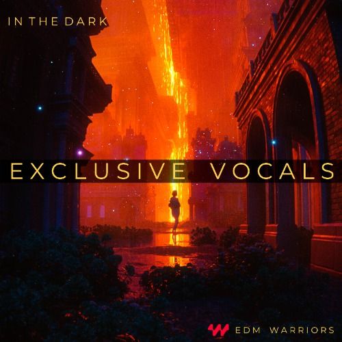 Buy EDM Ghost Production track - In The Dark