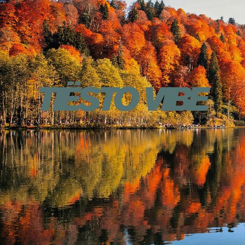 Buy EDM Ghost Production track - We'll Be Okay