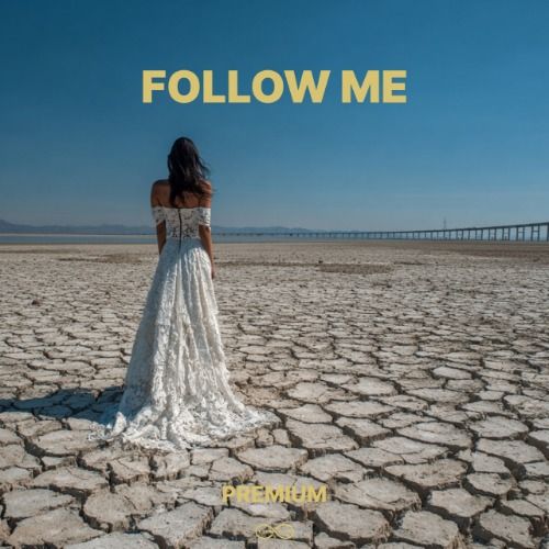 Buy EDM Ghost Production track - Follow Me