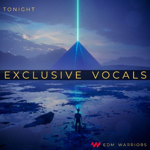 Buy EDM Ghost Production track - Tonight