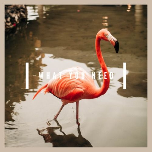 Buy EDM Ghost Production track - What You Need