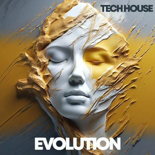 Buy EDM Ghost Production track - Evolution